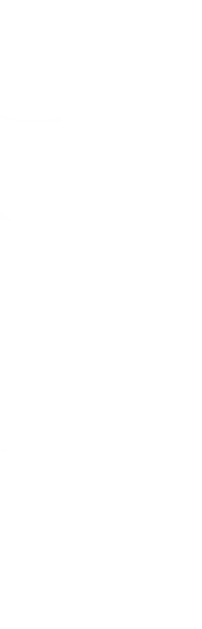 spider-web