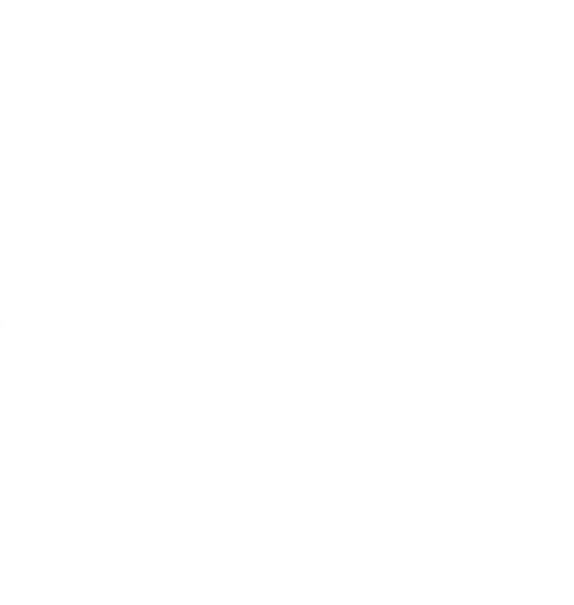 spider-web