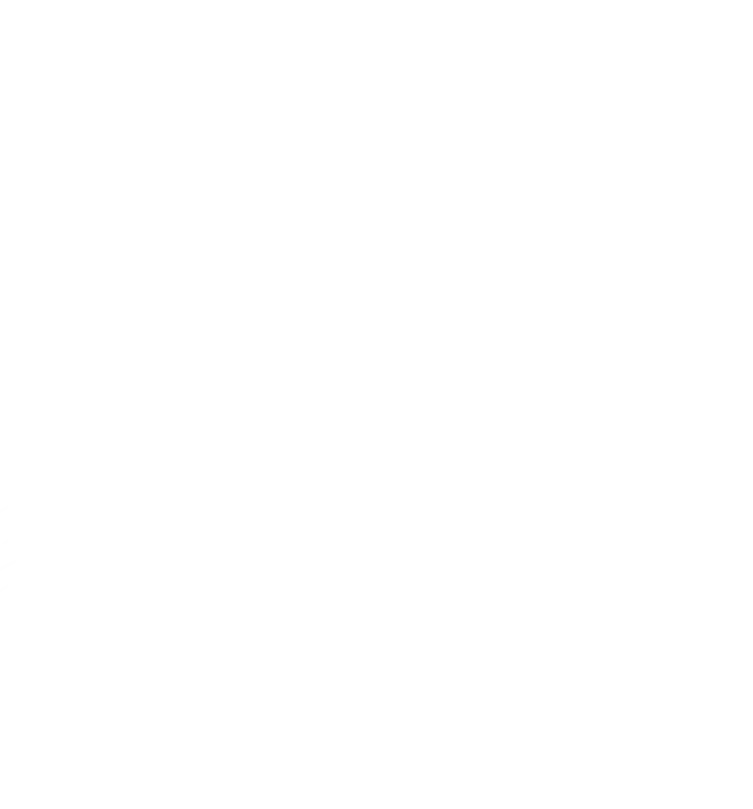 spider-web