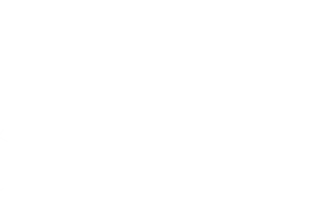 spider-web